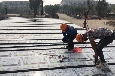 Tấm Polycarbonate Palsun 10mm 